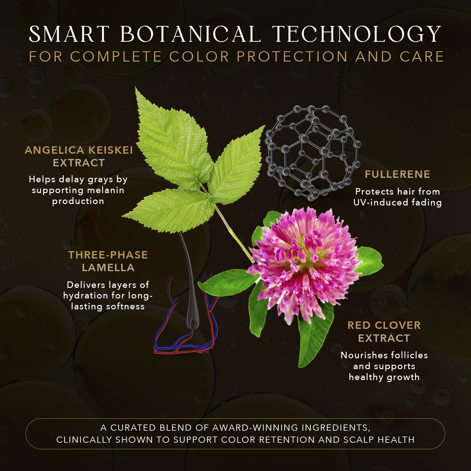 Conditioner for Color-Treated Hair