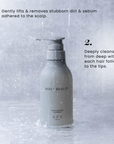 scalp shampoo - kiwabi us